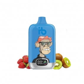 Einweg E-Zigarette 12.000 Züge | Erdbeer-Kiwi Geschmack