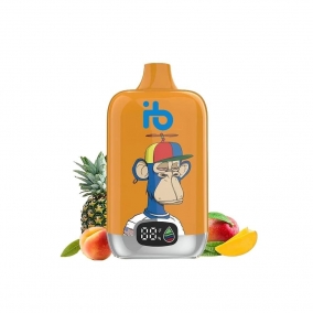 Einweg E-Zigarette 12.000 Züge | Mango Ananas Pfirsich Geschmack