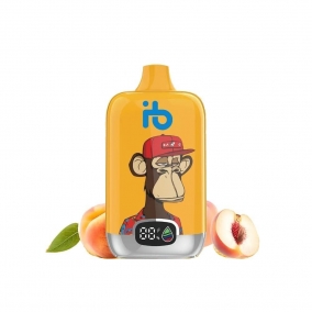 Einweg E-Zigarette 12.000 Züge | Saftiger Pfirsich Geschmack