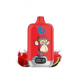 Einweg E-Zigarette 12.000 Züge | Erfrischender Wassermelone-Eis Geschmack