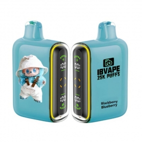 Einweg E-Zigarette 25.000 Züge | Brombeere-Heidelbeer Geschmack